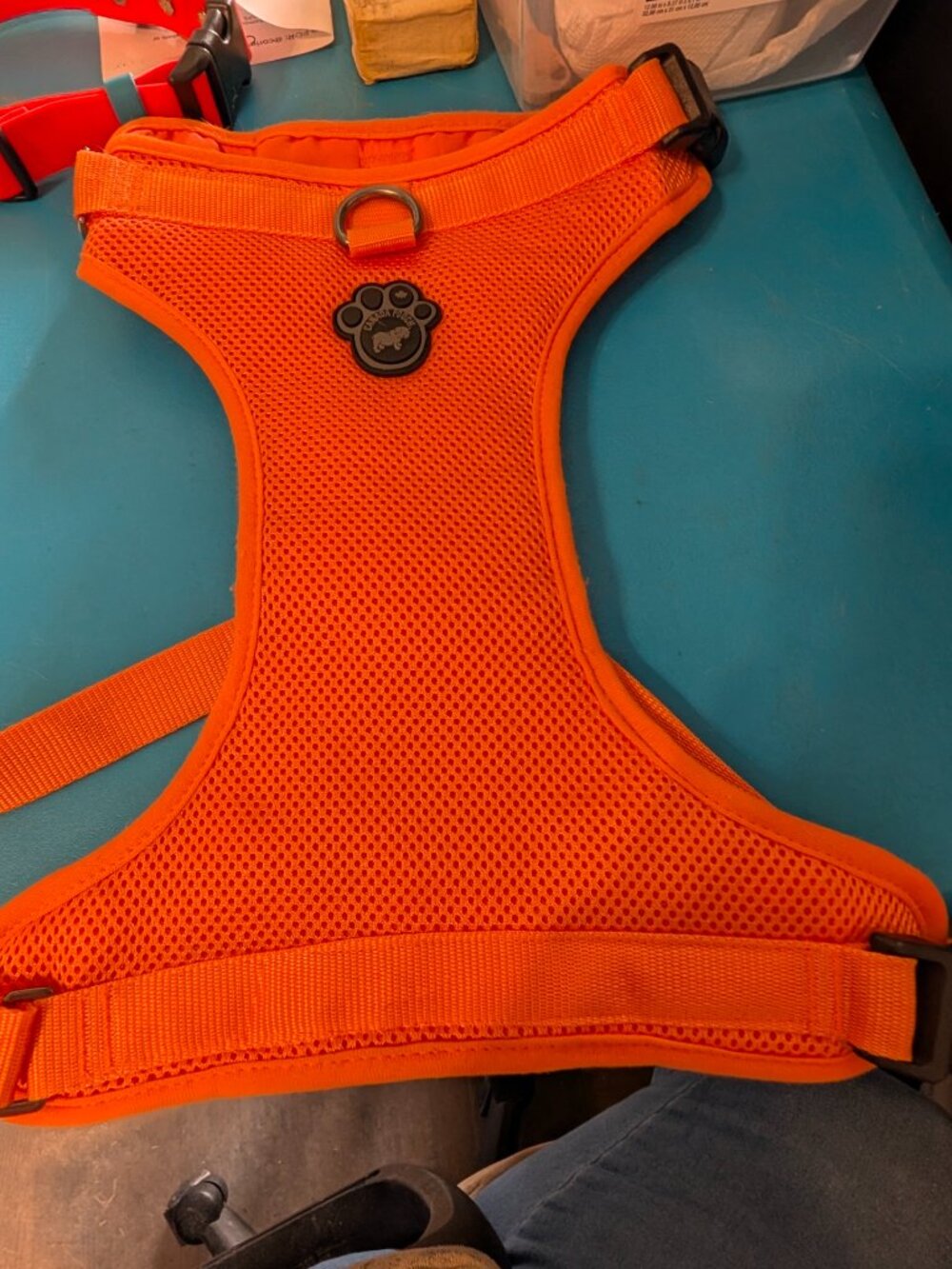 Canada Pooch Ltd High Vis Orange Safety Harness and Biothane Collar L/XL
